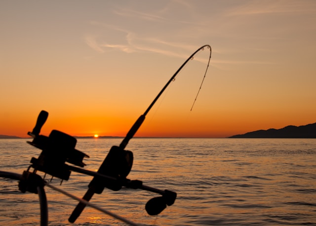 Fishing Charters in Myrtle Beach: A Coastal Adventure Worth Planning